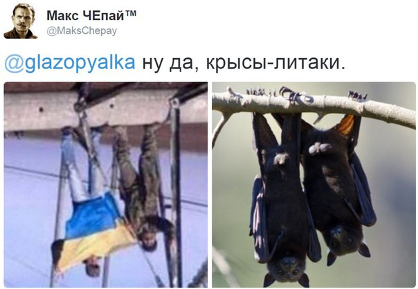 "Мыздобулы" в картинках. Смешных и не очень... 26-11-2015