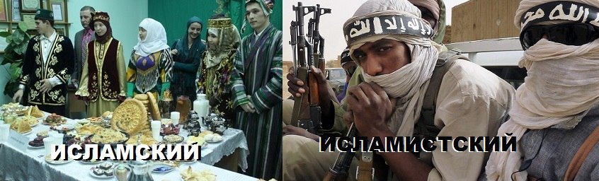 "Мыздобулы" в картинках. Смешных и не очень... 26-11-2015