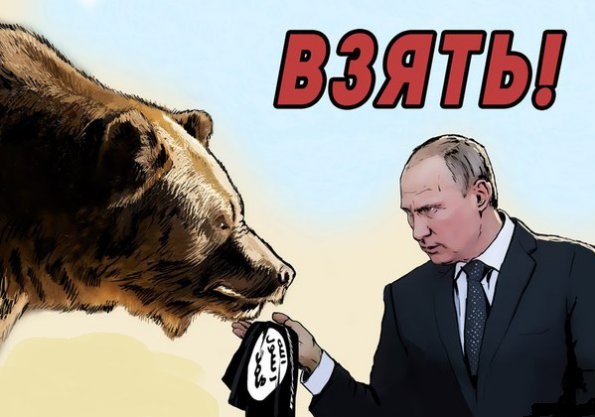 "Мыздобулы" в картинках. Смешных и не очень... 26-11-2015