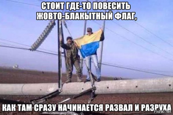 "Мыздобулы" в картинках. Смешных и не очень... 26-11-2015