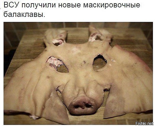 "Мыздобулы" в картинках. Смешных и не очень... 26-11-2015