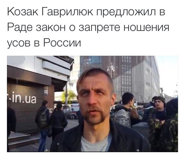 "Мыздобулы" в картинках. Смешных и не очень... 26-11-2015