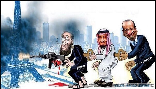 "Мыздобулы" в картинках. Смешных и не очень... 26-11-2015