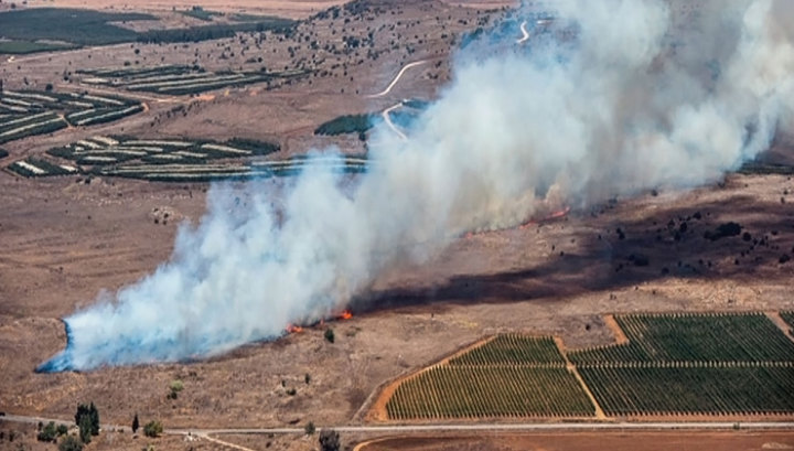 Мария Захарова оценила «смонтированный шедевр» предупреждения экипажу Су-24