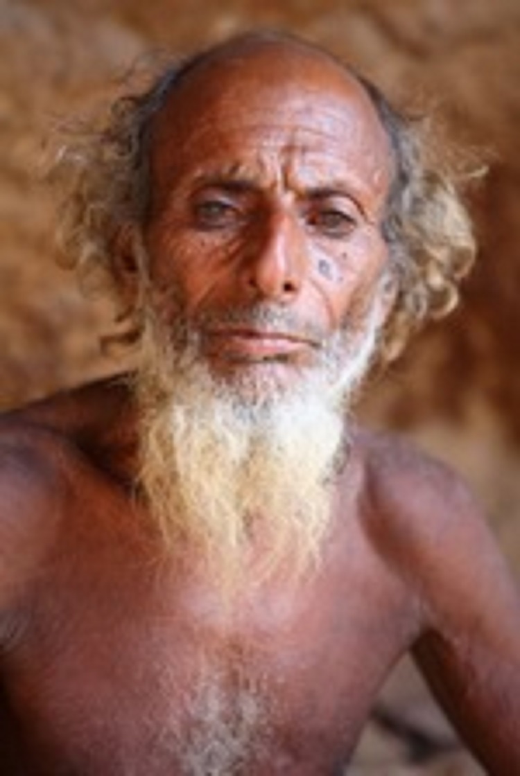 Сокотра - русский экватор без Турции и Египта: масштаб проекта сравним с Олимпиадой в Сочи-2014 Сокотра - русский экватор без Турции и Египта: масштаб проекта сравним с Олимпиадой в Сочи-2014