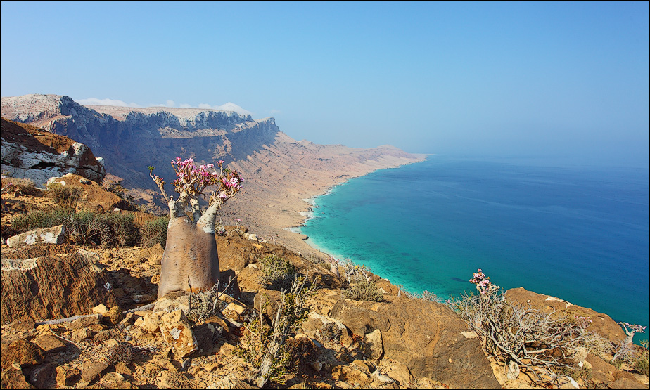 Сокотра - русский экватор без Турции и Египта: масштаб проекта сравним с Олимпиадой в Сочи-2014 Сокотра - русский экватор без Турции и Египта: масштаб проекта сравним с Олимпиадой в Сочи-2014