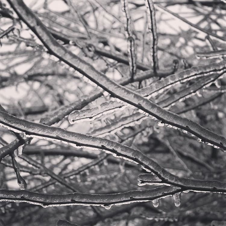 Жертвами непогоды в США стали 14 человек Жертвами непогоды в США стали 14 человек