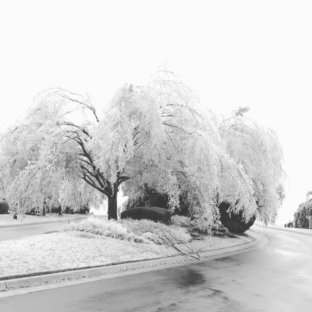 Жертвами непогоды в США стали 14 человек Жертвами непогоды в США стали 14 человек