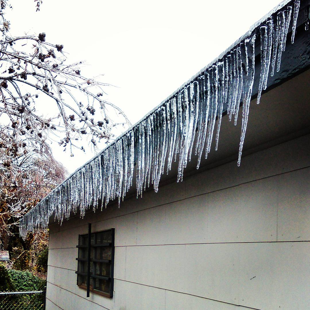 Жертвами непогоды в США стали 14 человек Жертвами непогоды в США стали 14 человек