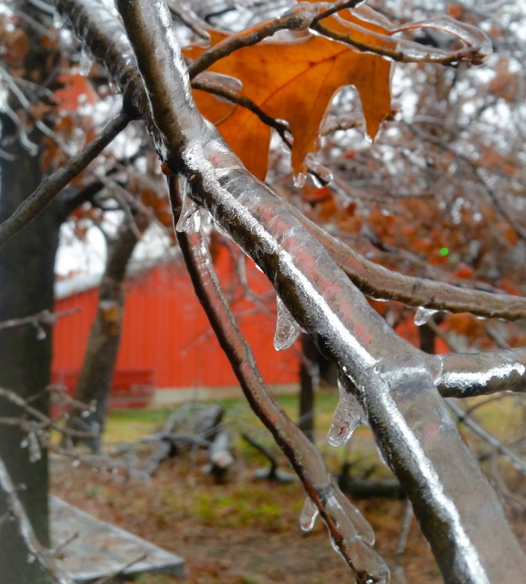 Жертвами непогоды в США стали 14 человек Жертвами непогоды в США стали 14 человек