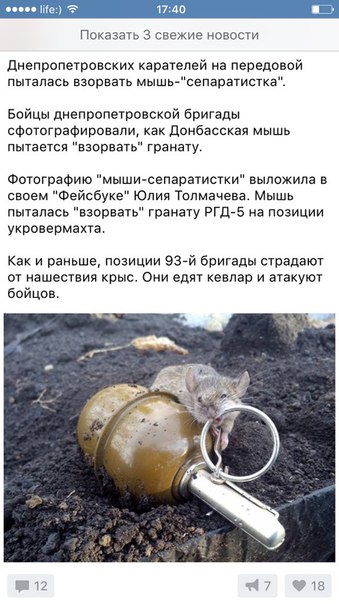 Сводки от ополчения Новороссии 29.11.2015 Сводки от ополчения Новороссии 29.11.2015