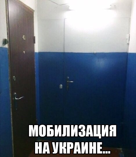 "Мыздобулы" в картинках. Смешных и не очень... 29-11-2015