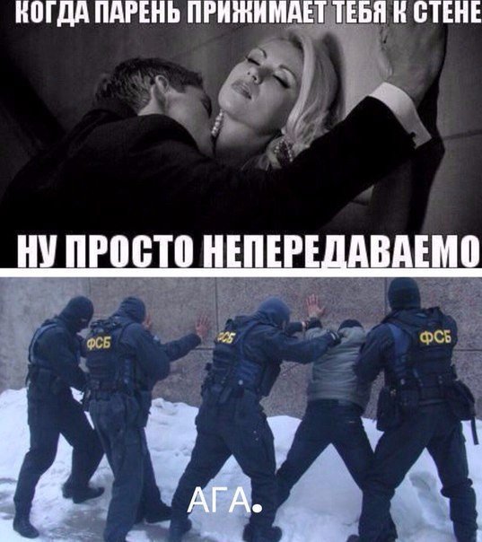 "Мыздобулы" в картинках. Смешных и не очень... 29-11-2015