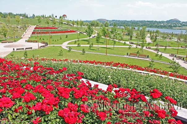 Сводки от ополчения Новороссии 29.11.2015 Сводки от ополчения Новороссии 29.11.2015