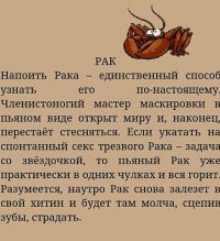 Алкогольный гороскоп по всем знакам зодиака.