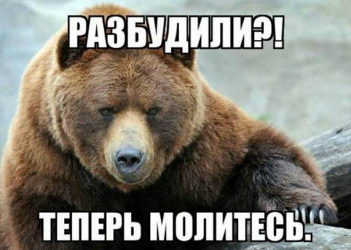 Уничтожить! В очередь, сукины дети!