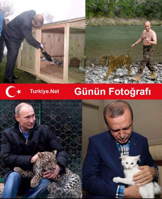 "Мыздобулы" в картинках. Смешных и не очень... 29-11-2015