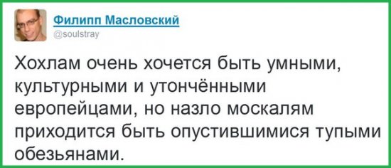 "Мыздобулы" в картинках. Смешных и не очень... 29-11-2015