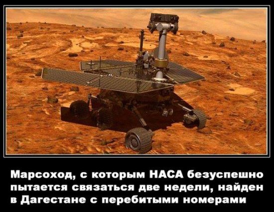 "Мыздобулы" в картинках. Смешных и не очень... 29-11-2015