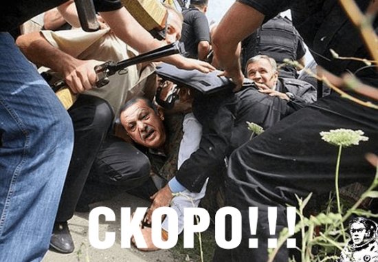 "Мыздобулы" в картинках. Смешных и не очень... 29-11-2015