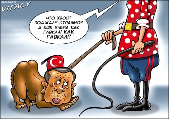 "Мыздобулы" в картинках. Смешных и не очень... 29-11-2015