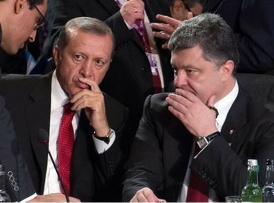 Турция и Украина в игноре. Юлия Витязева