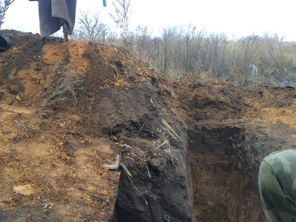 Сводки от ополчения Новороссии 01.12.2015