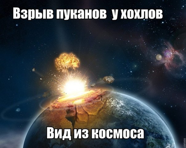 "Мыздобулы" в картинках. Смешных и не очень... 3-12-2015