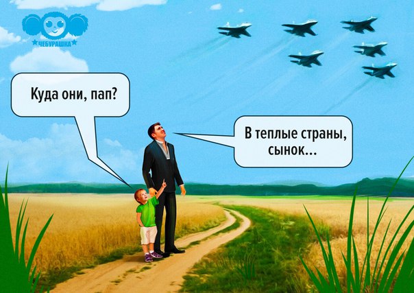 "Мыздобулы" в картинках. Смешных и не очень... 3-12-2015