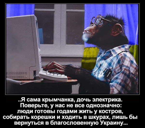 "Мыздобулы" в картинках. Смешных и не очень... 3-12-2015