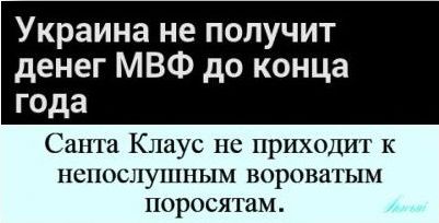 "Мыздобулы" в картинках. Смешных и не очень... 3-12-2015