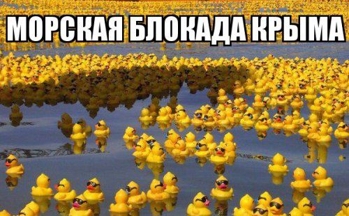 "Мыздобулы" в картинках. Смешных и не очень... 3-12-2015