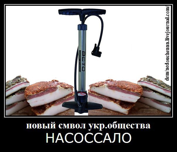 "Мыздобулы" в картинках. Смешных и не очень... 3-12-2015