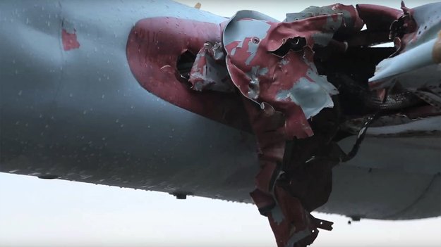 В НАТО опубликовали ролик, в котором птица сбивает истребитель чешских ВВС В НАТО опубликовали ролик, в котором птица сбивает истребитель чешских ВВС