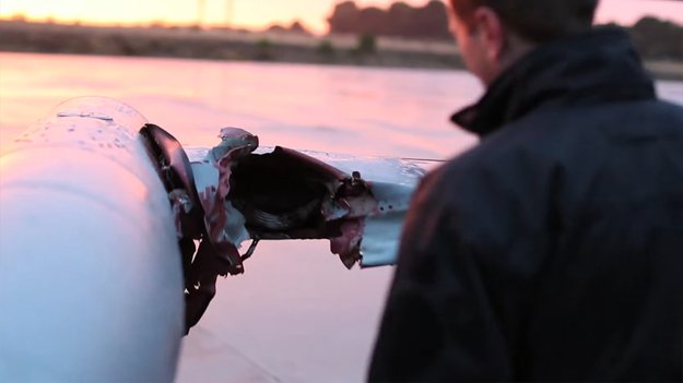 В НАТО опубликовали ролик, в котором птица сбивает истребитель чешских ВВС В НАТО опубликовали ролик, в котором птица сбивает истребитель чешских ВВС