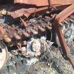 Нежданный подвиг ценой в жизнь