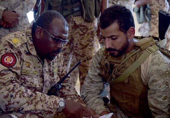 Война в Йемене. Декабрь 2015 Война в Йемене. Декабрь 2015