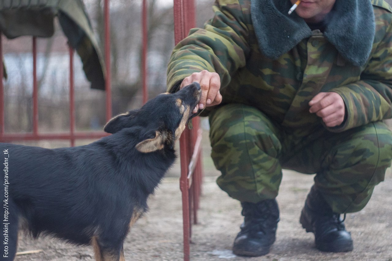 Сводки от ополчения Новороссии 07.12.2015 Сводки от ополчения Новороссии 07.12.2015