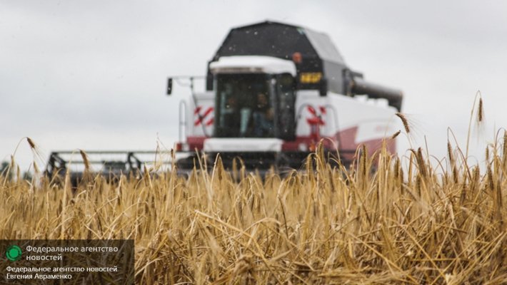 Украина прервала партнерство с Россией в аграрной сфере Украина прервала партнерство с Россией в аграрной сфере
