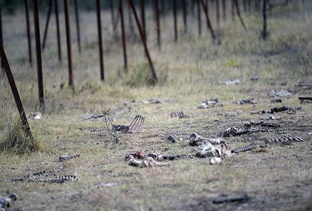 «А им вообще никого не жалко» «А им вообще никого не жалко»