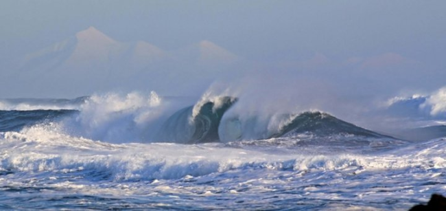 Батяня-Поэт… Александр Шаганов Батяня-Поэт… Александр Шаганов