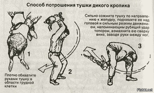 Интернет-мемы: Яйценюха поймали за фаберже. Драка в Раде.