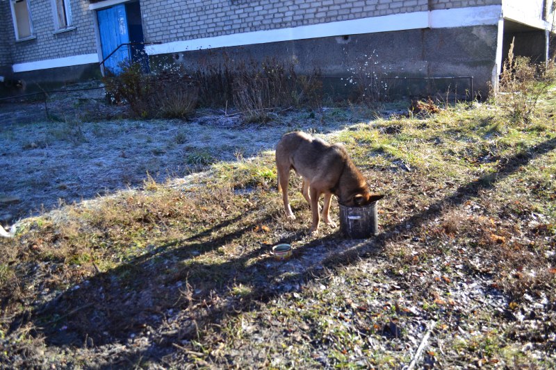 Спартак. Посёлок-призрак. (Фоторепортаж) Спартак. Посёлок-призрак. (Фоторепортаж)