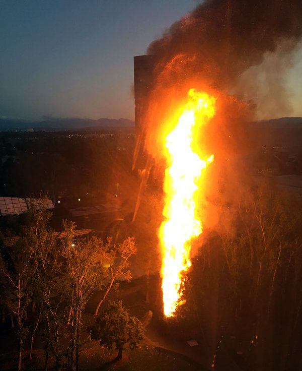 Праздника не будет, расходимся: В Калифорнии сгорела рождественская ель стоимостью $120 тыс. Праздника не будет, расходимся: В Калифорнии сгорела рождественская ель стоимостью $120 тыс.