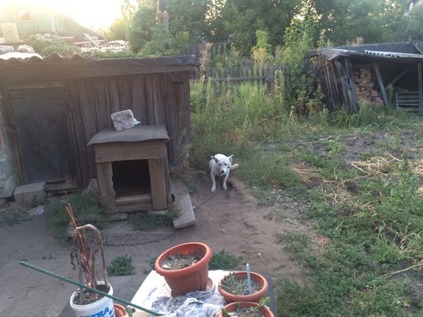 Сводки от ополчения Новороссии 15.12.2015 Сводки от ополчения Новороссии 15.12.2015