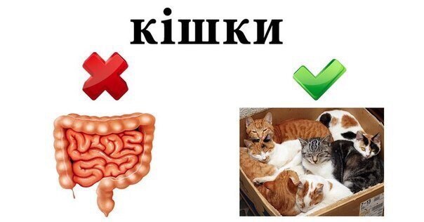 Украинский язык был искусственно создан в 1794 году Украинский язык был искусственно создан в 1794 году