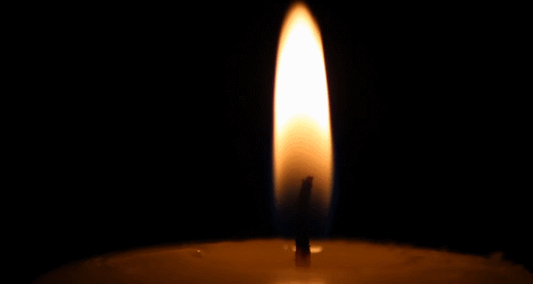 10 событий 2015 года, которые войдут в учебники истории, в GIF-анимациях 10 событий 2015 года, которые войдут в учебники истории, в GIF-анимациях