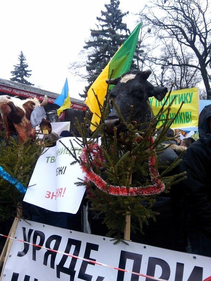 У здания Верховной рады в Киеве на ёлках повесили отрезанные головы коров