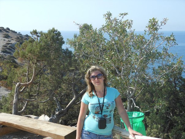 Сводки от ополчения Новороссии 19.12.2015