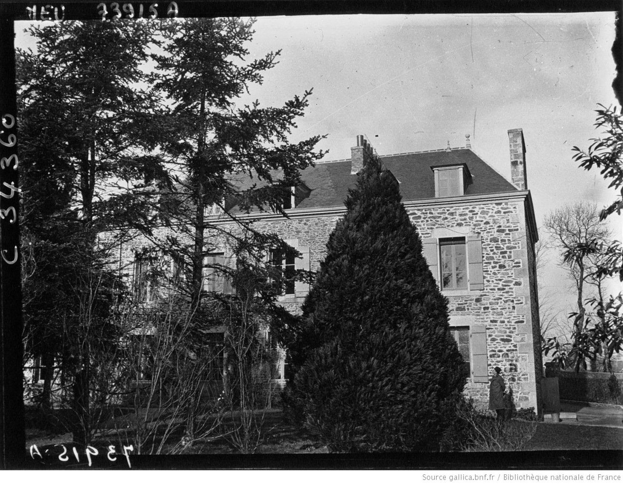 Белая кость вчера, сегодня и завтра